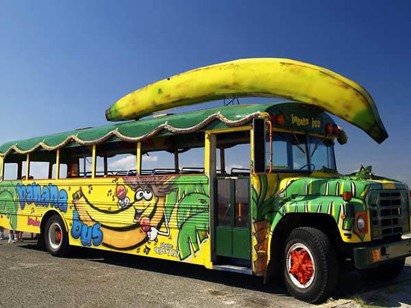 imagem tirada da net